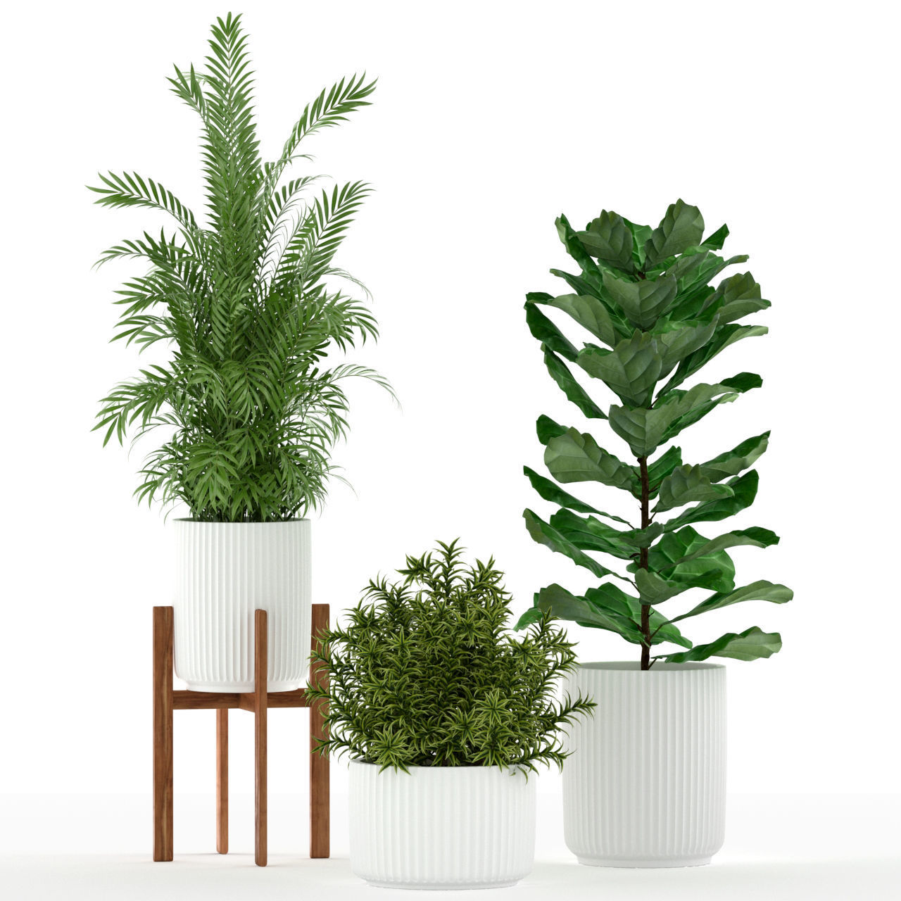 Plants collection 194 3D model_1
