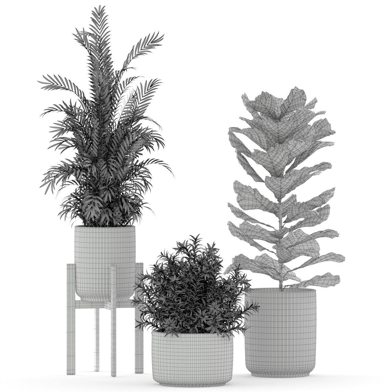 Plants collection 194 3D model_3