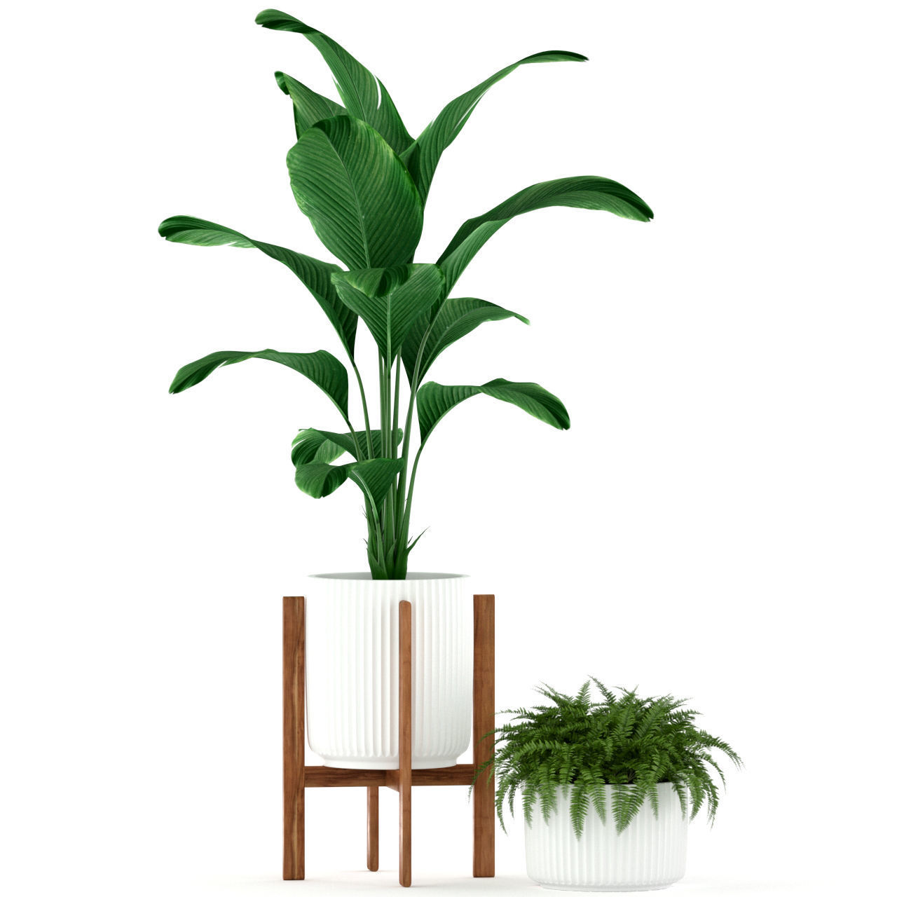 Plants collection 194 3D model_2