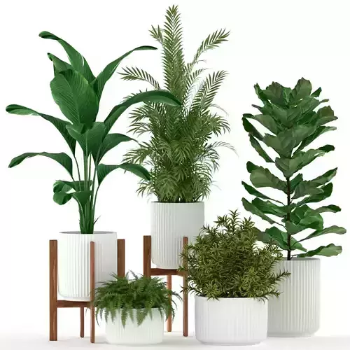 Plants collection 194 3D model