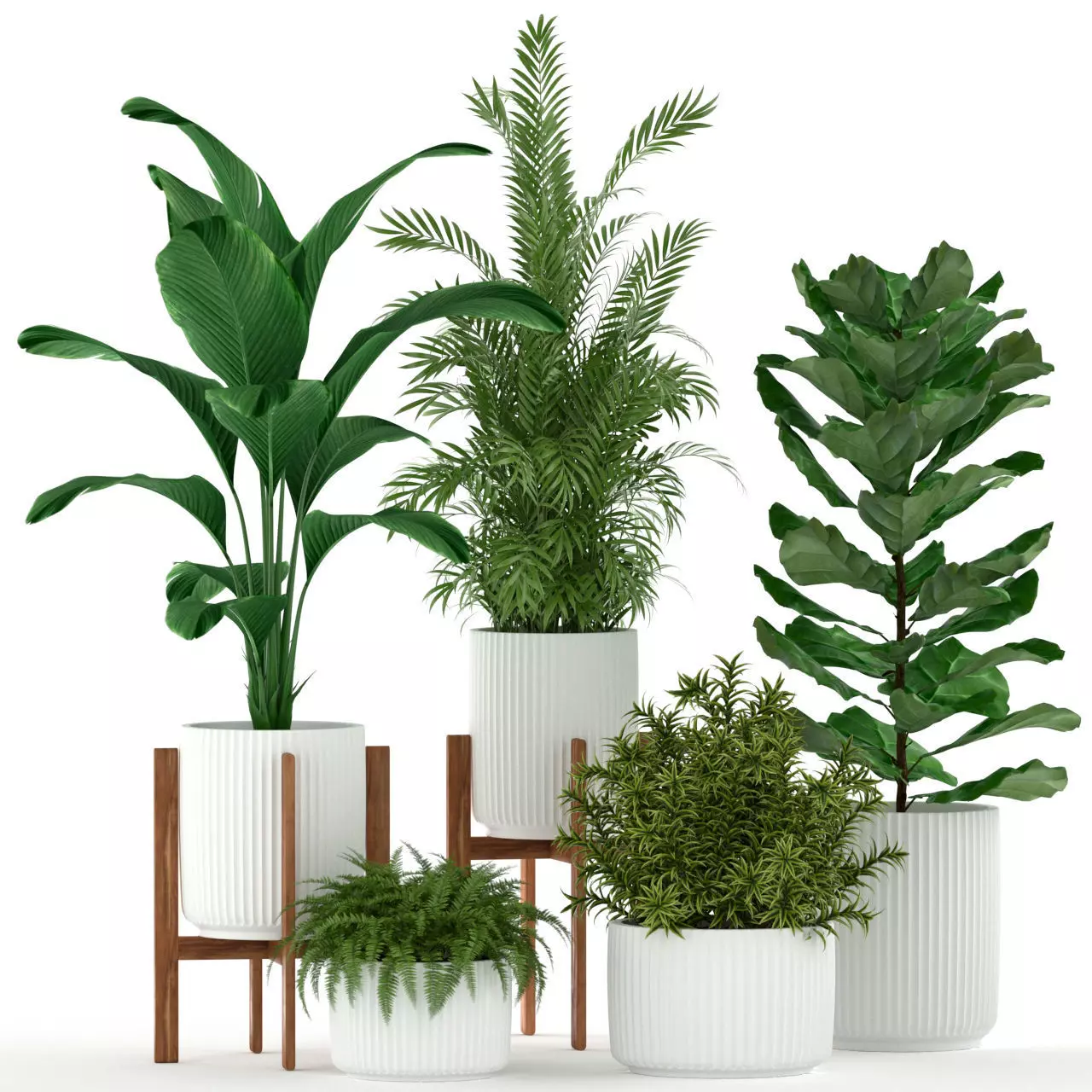 Plants collection 194 3D model_0