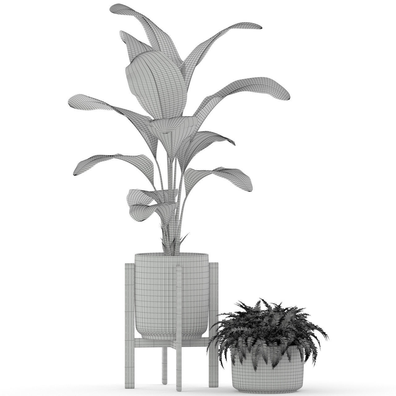 Plants collection 194 3D model_4