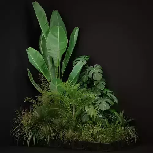 Plants collection 196 3D model