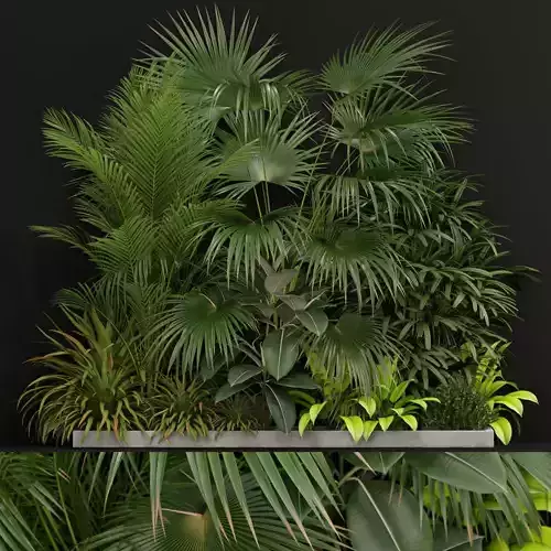 Plants collection 197 3D model