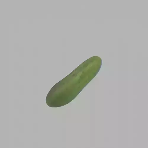 Cucumber pickle