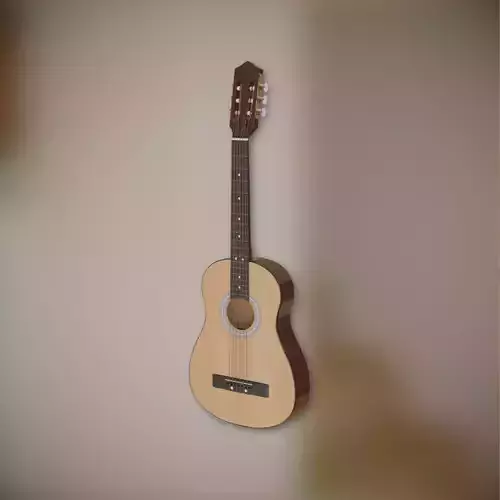 Acoustic Guitar