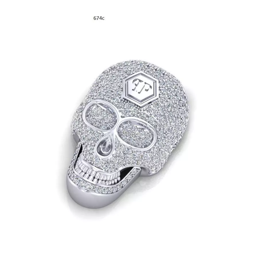 skull pp 3D model_0