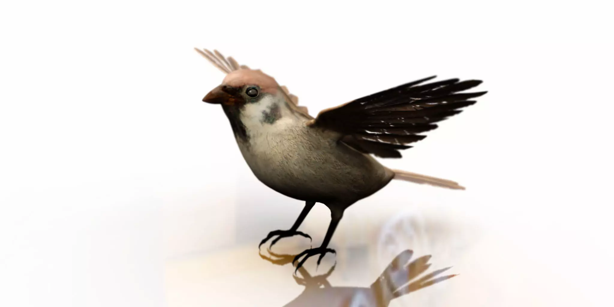 sparrow bird 3d model 3D model_0