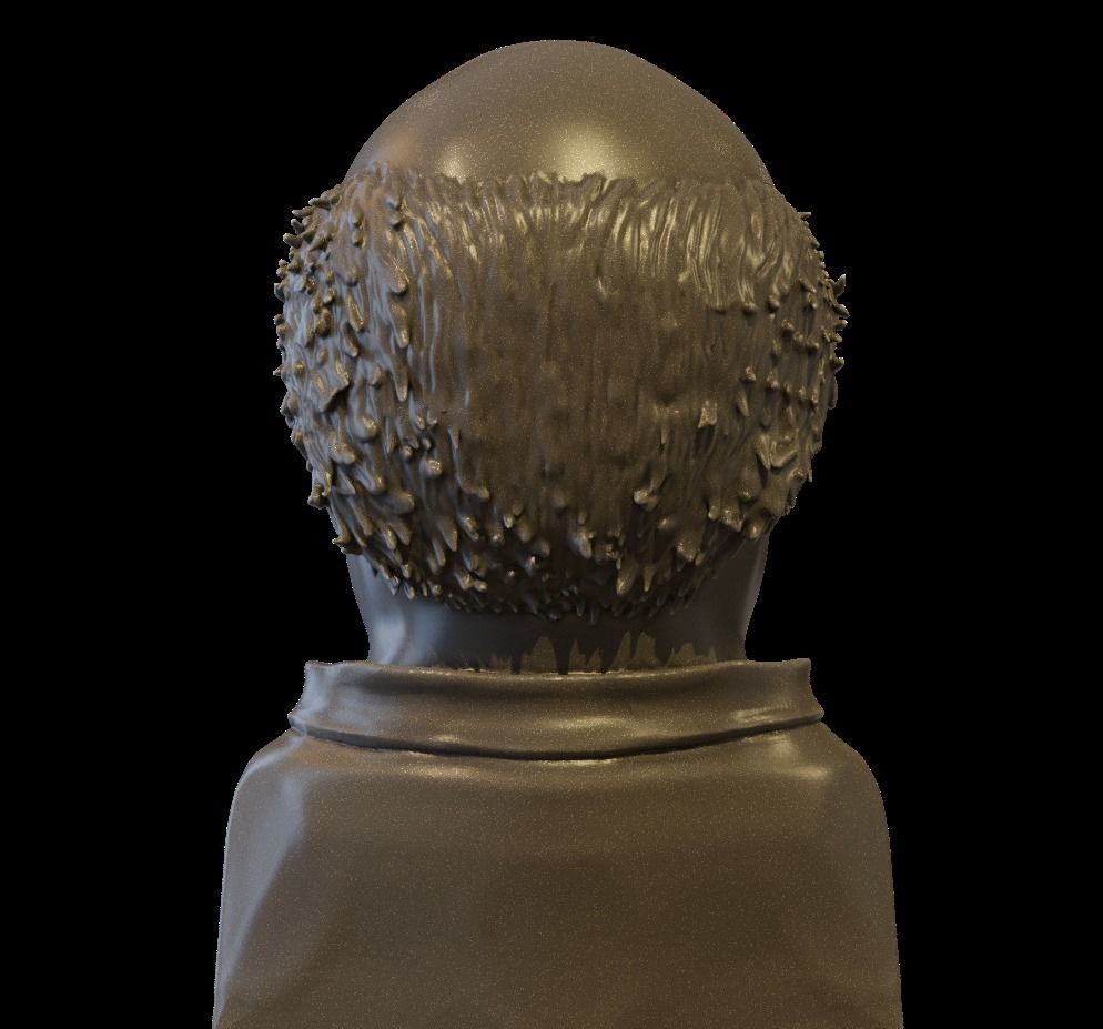 Danny DeVito bust 3D print model_4