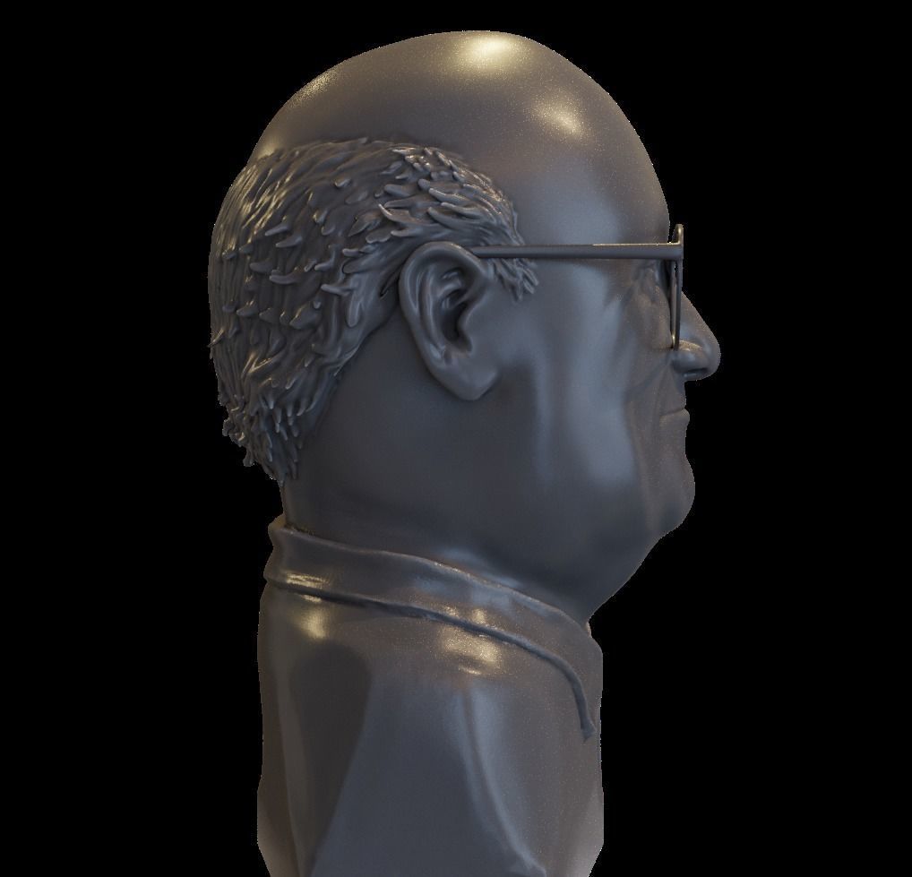 Danny DeVito bust 3D print model_6