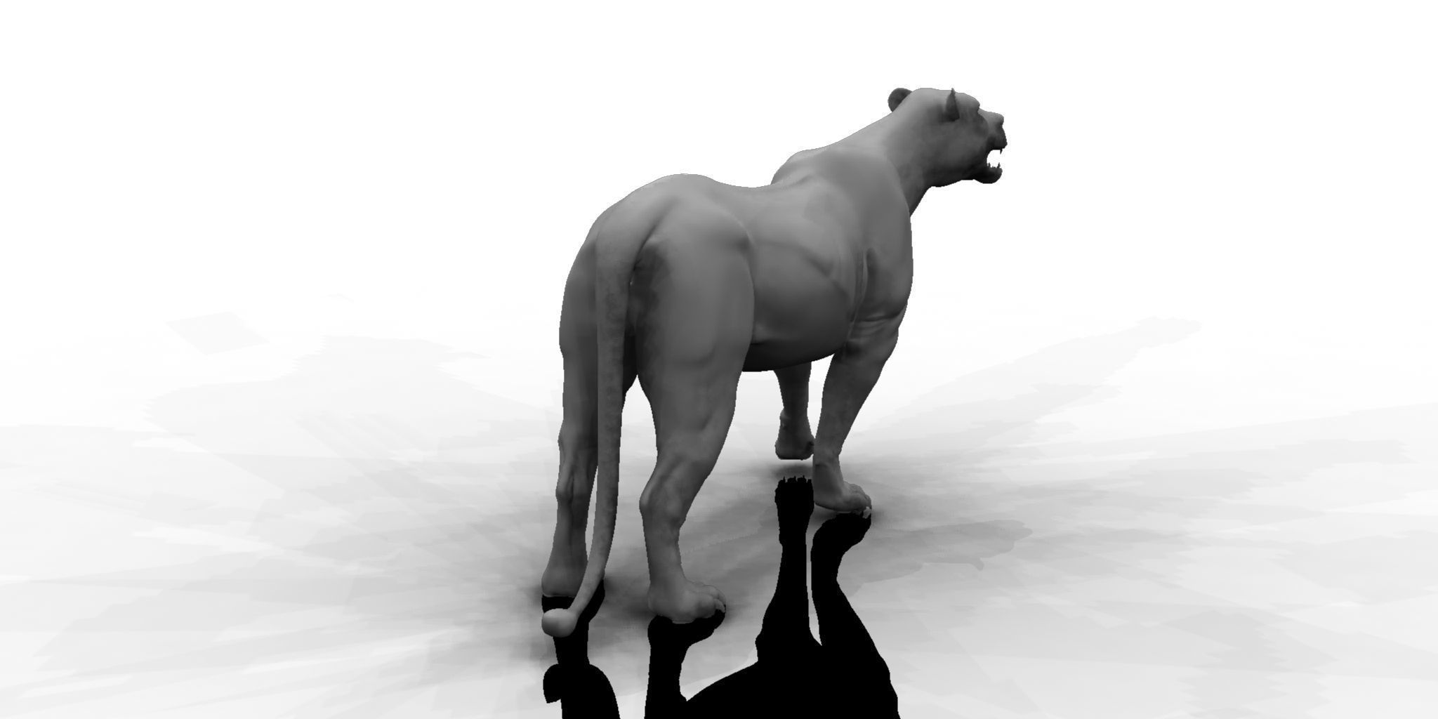 female lion 3d model 3D model_4