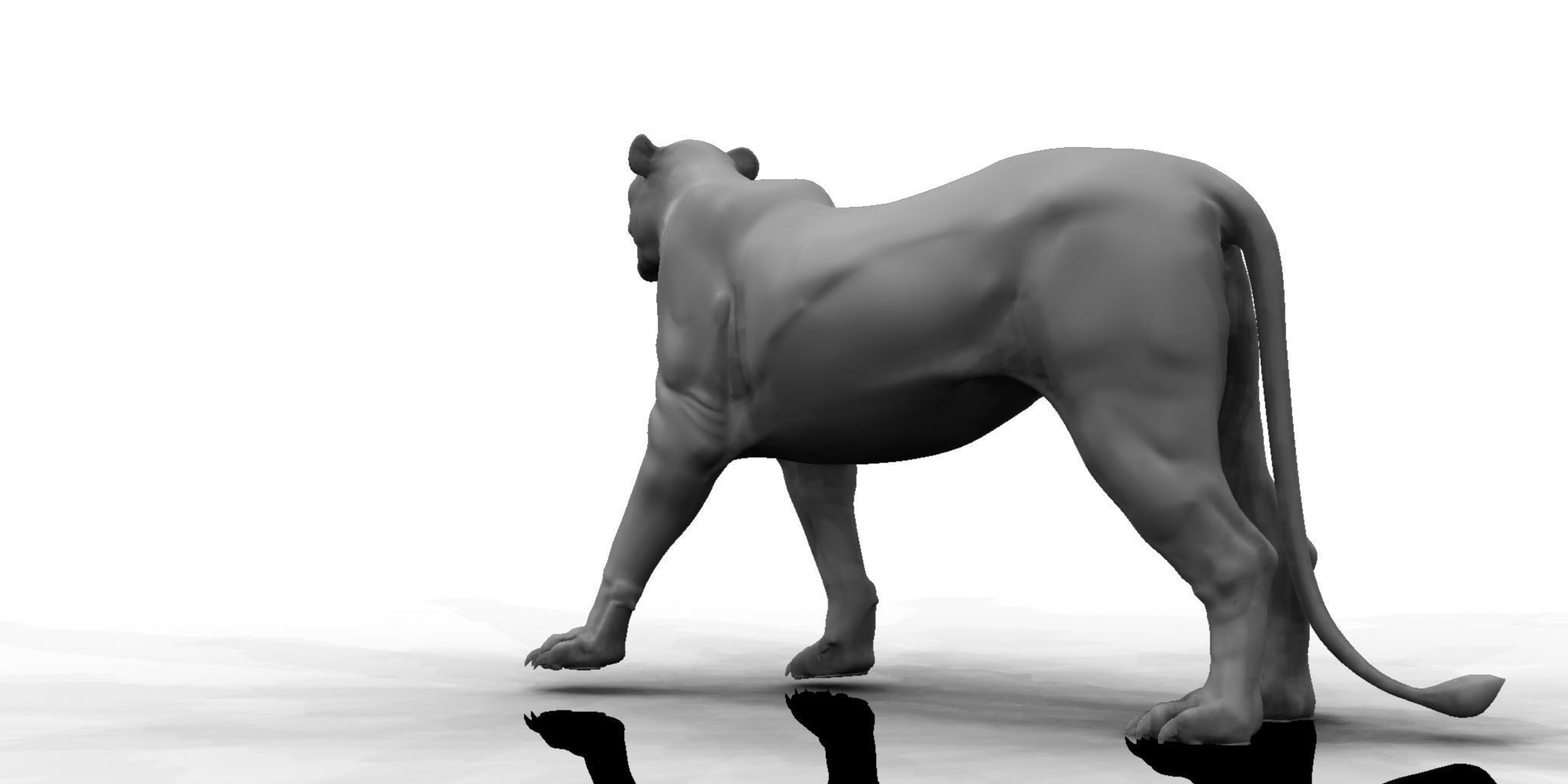 female lion 3d model 3D model_5