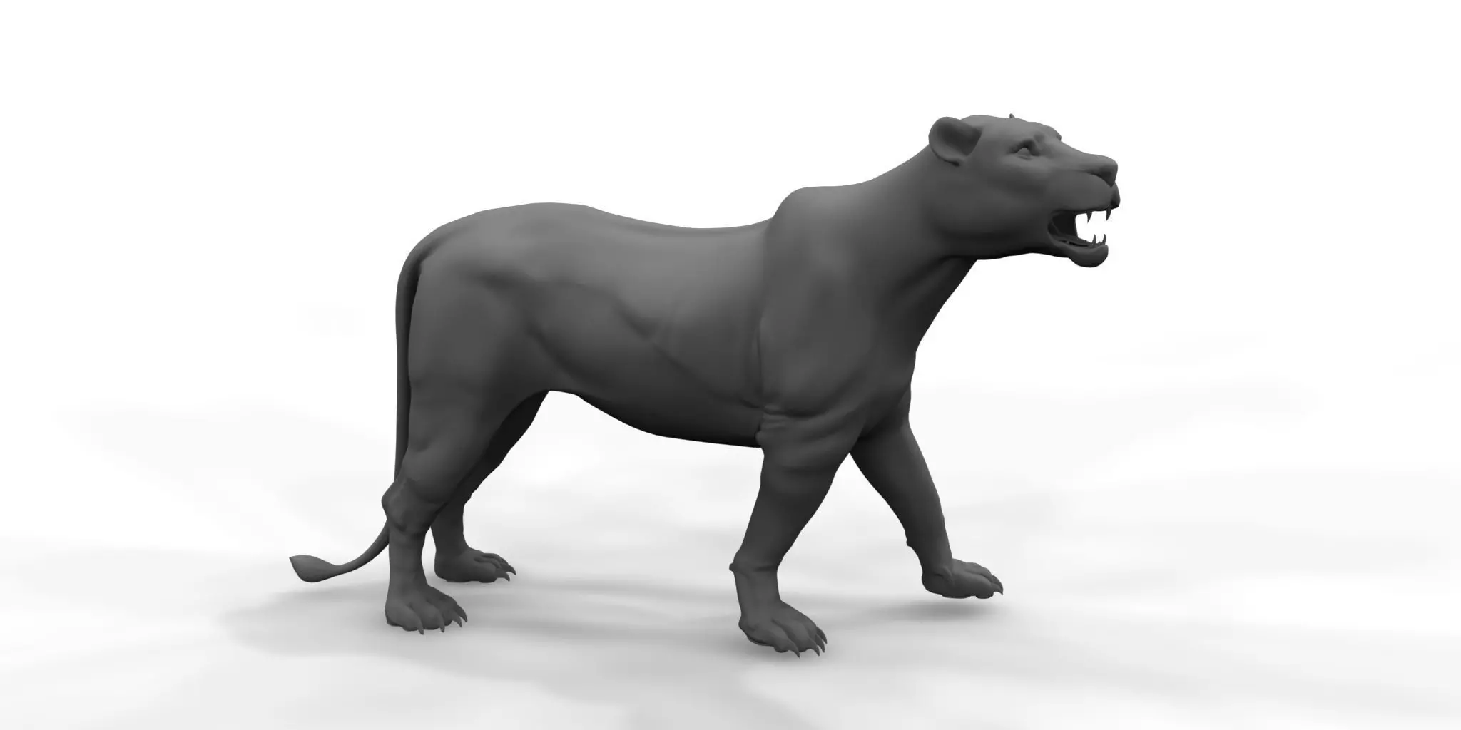 female lion 3d model 3D model_0