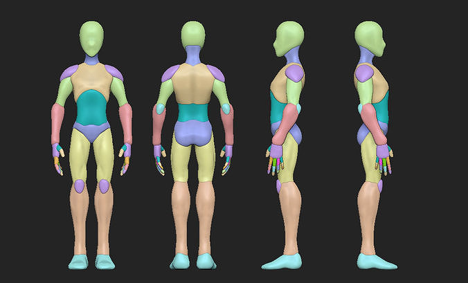 Man anatomy body blocking Free 3D model