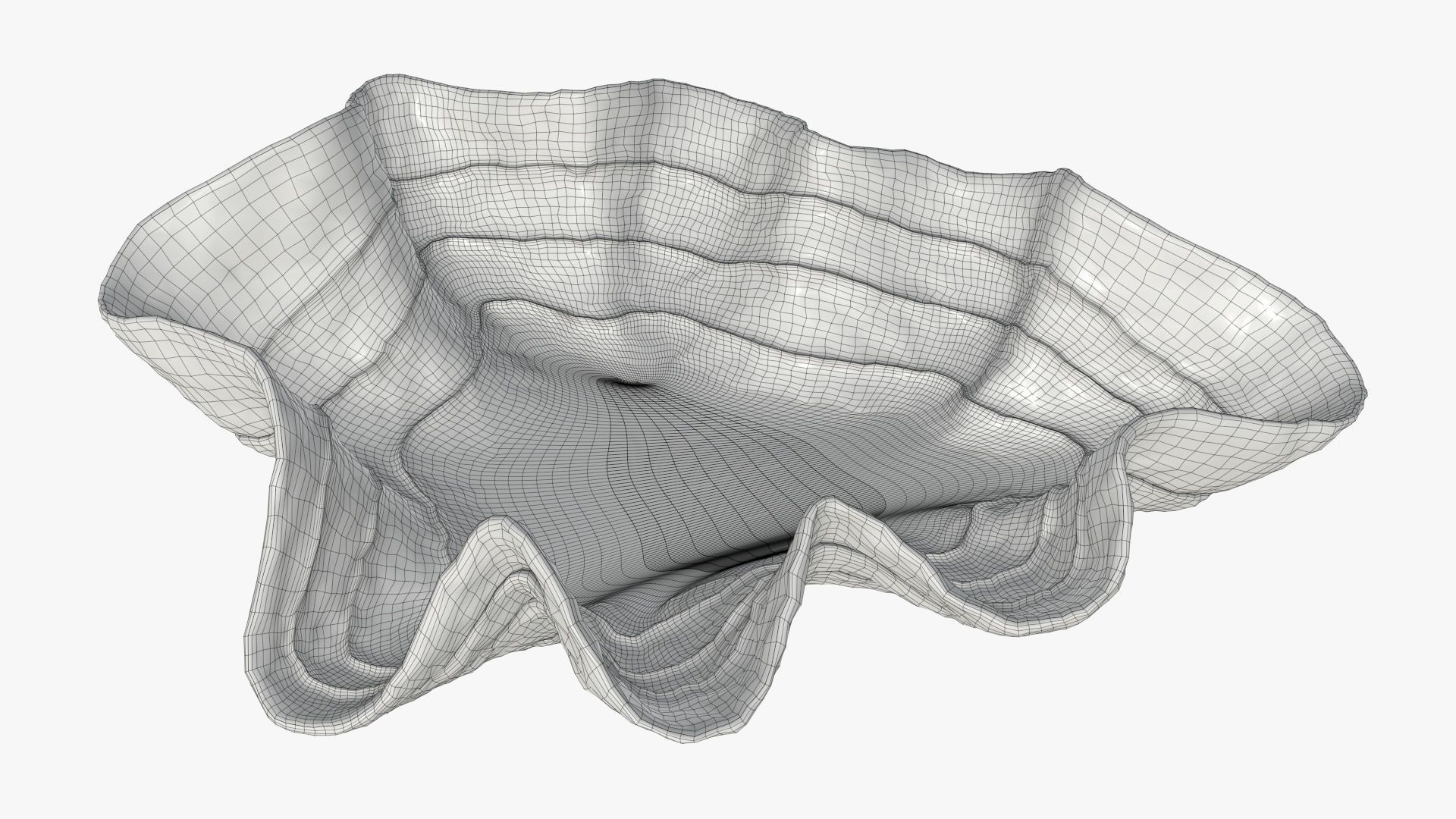 Clam shell bowl 3D model_7