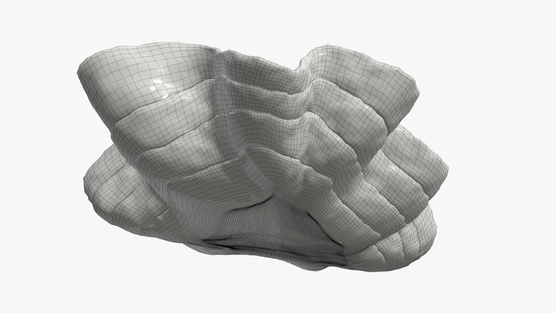 Clam shell bowl 3D model_9