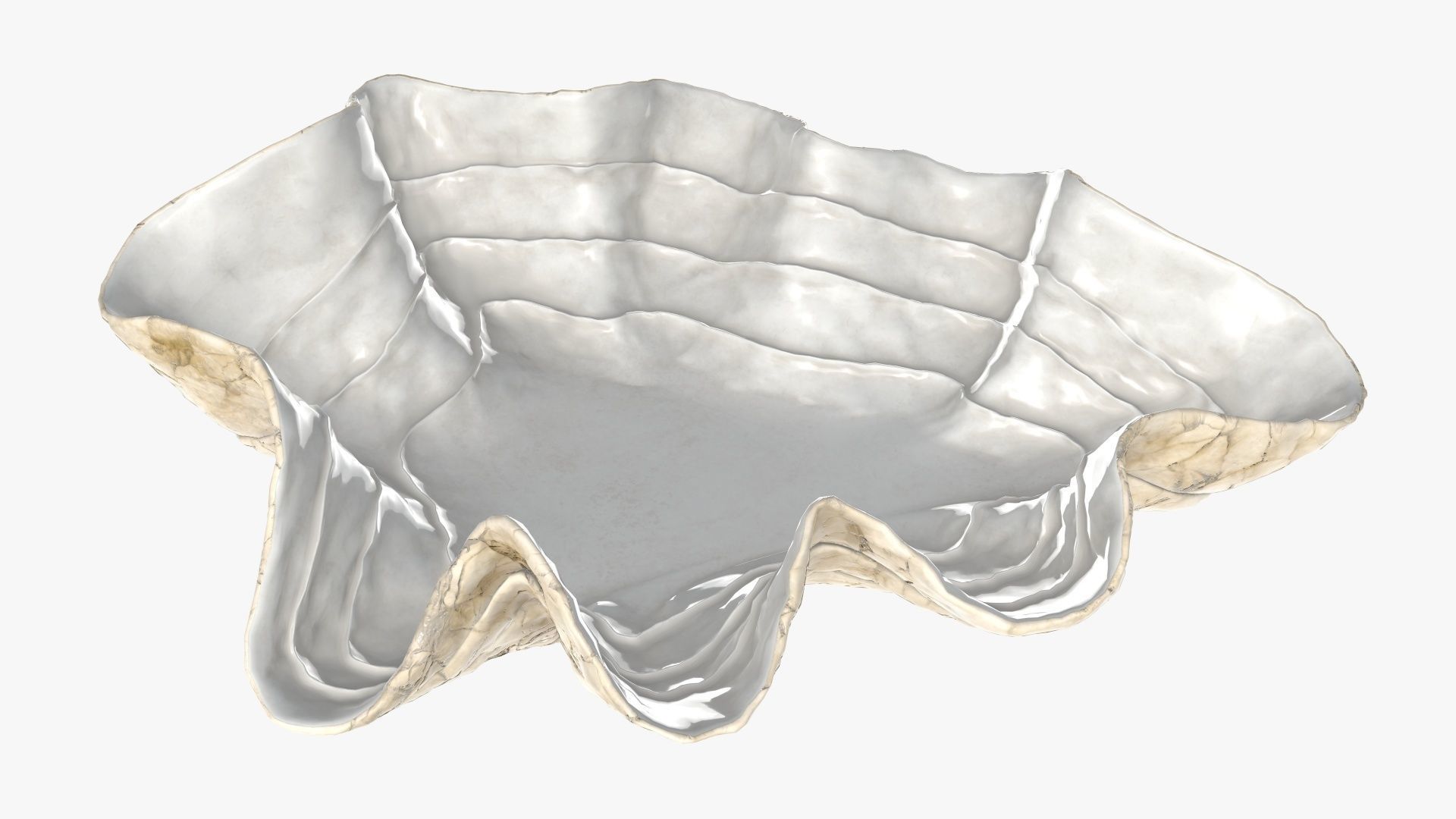 Clam shell bowl 3D model_3
