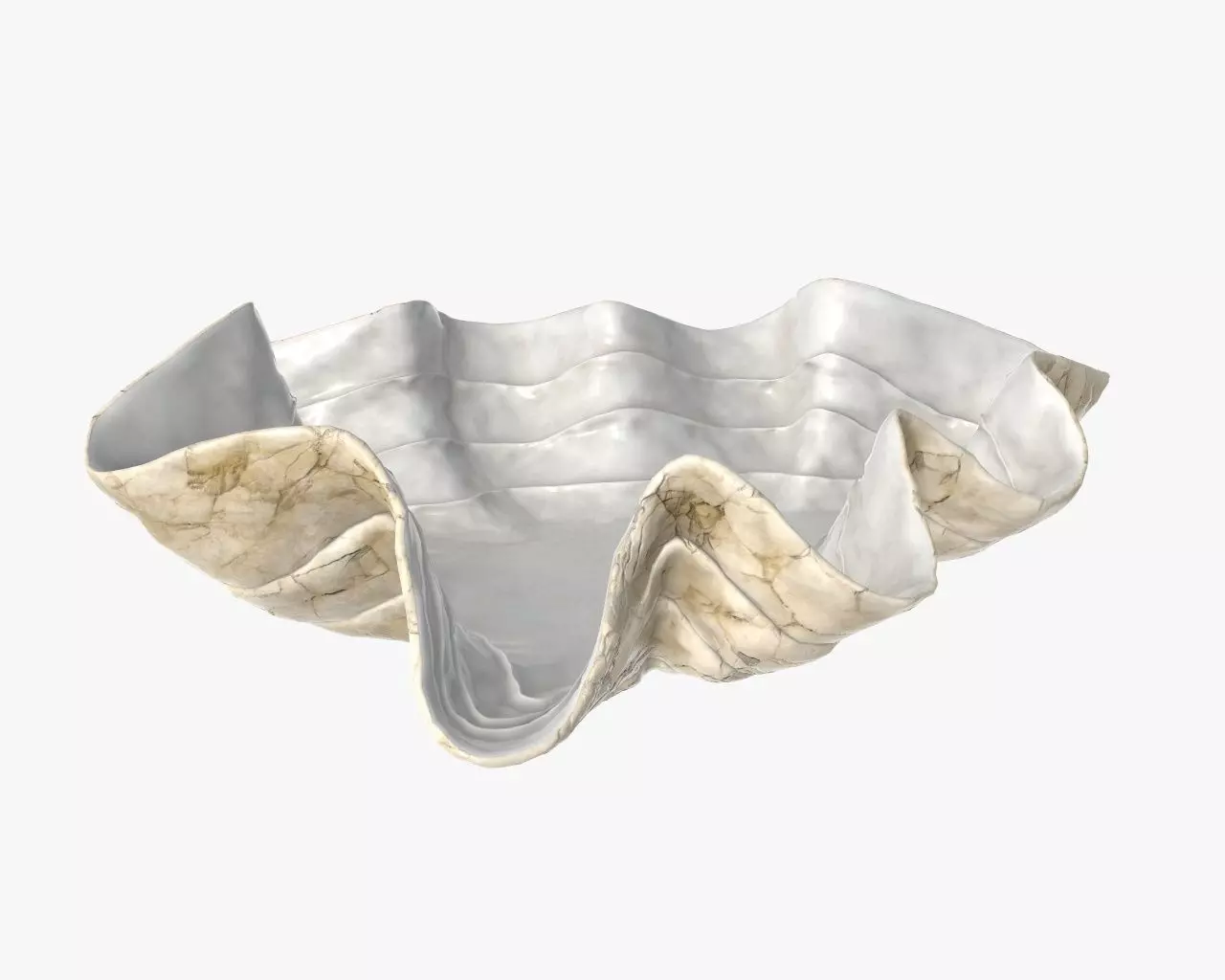 Clam shell bowl 3D model_0