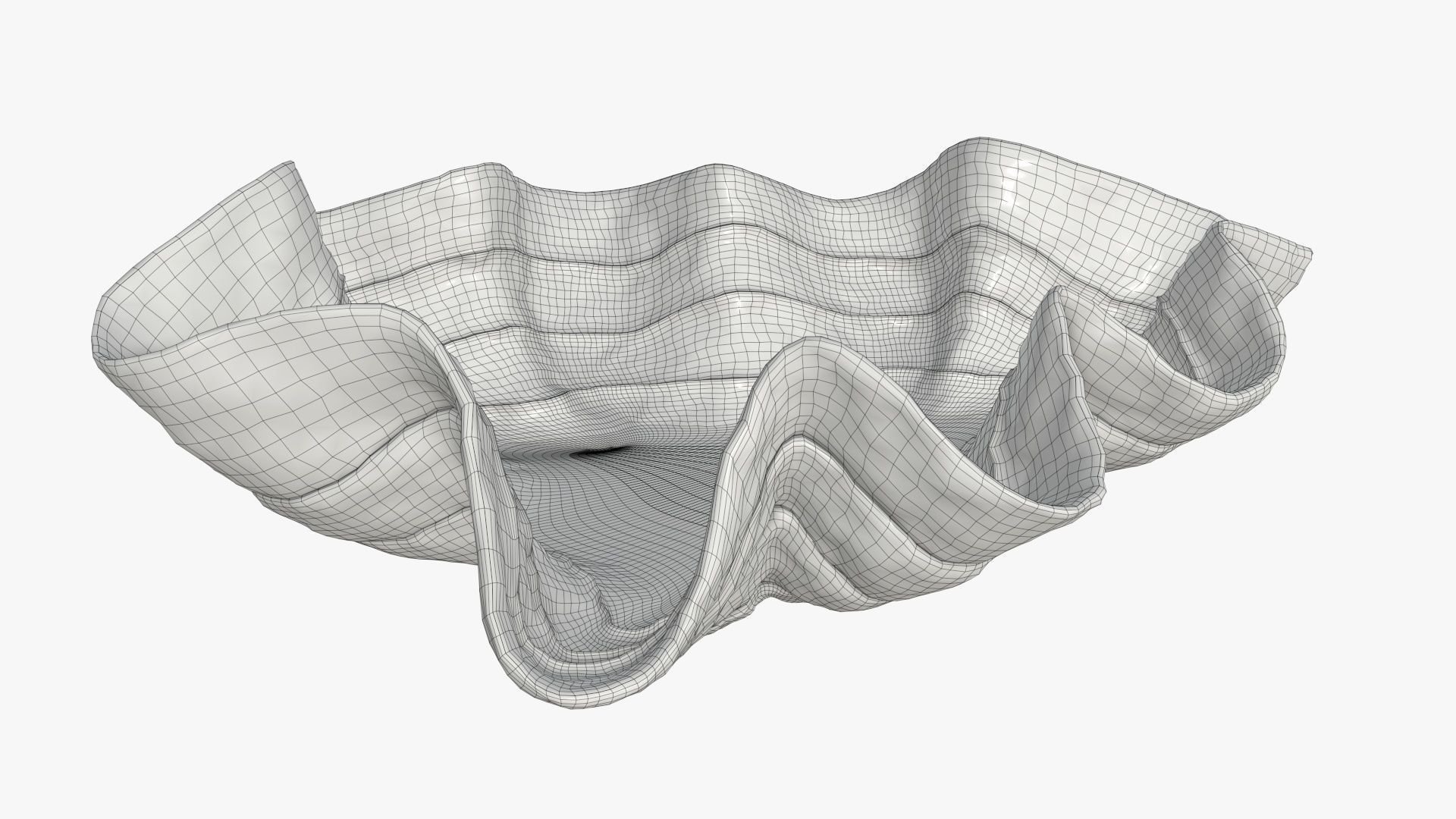 Clam shell bowl 3D model_6