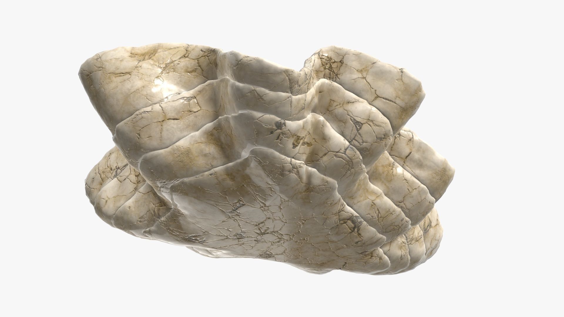 Clam shell bowl 3D model_5