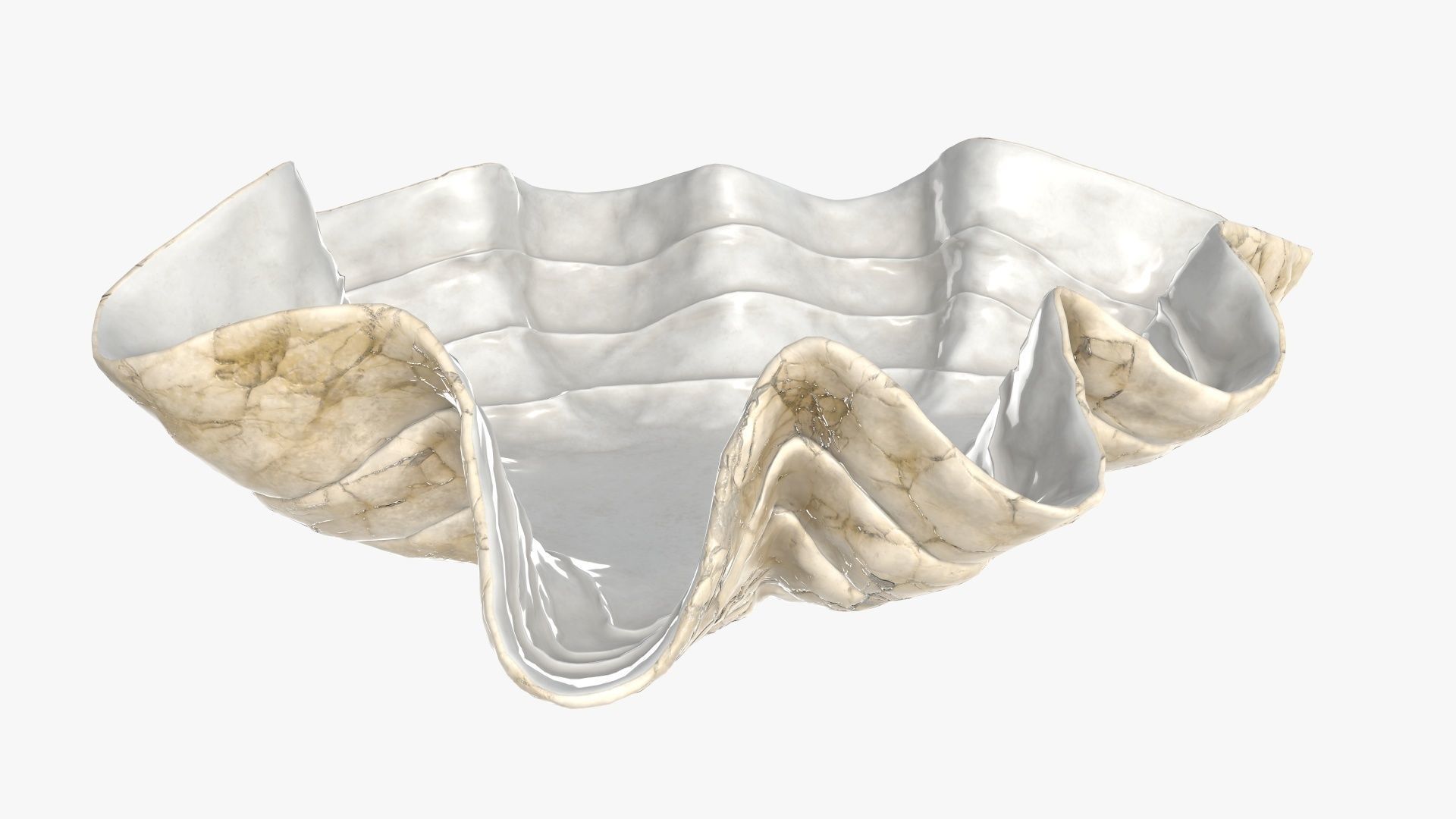 Clam shell bowl 3D model_2