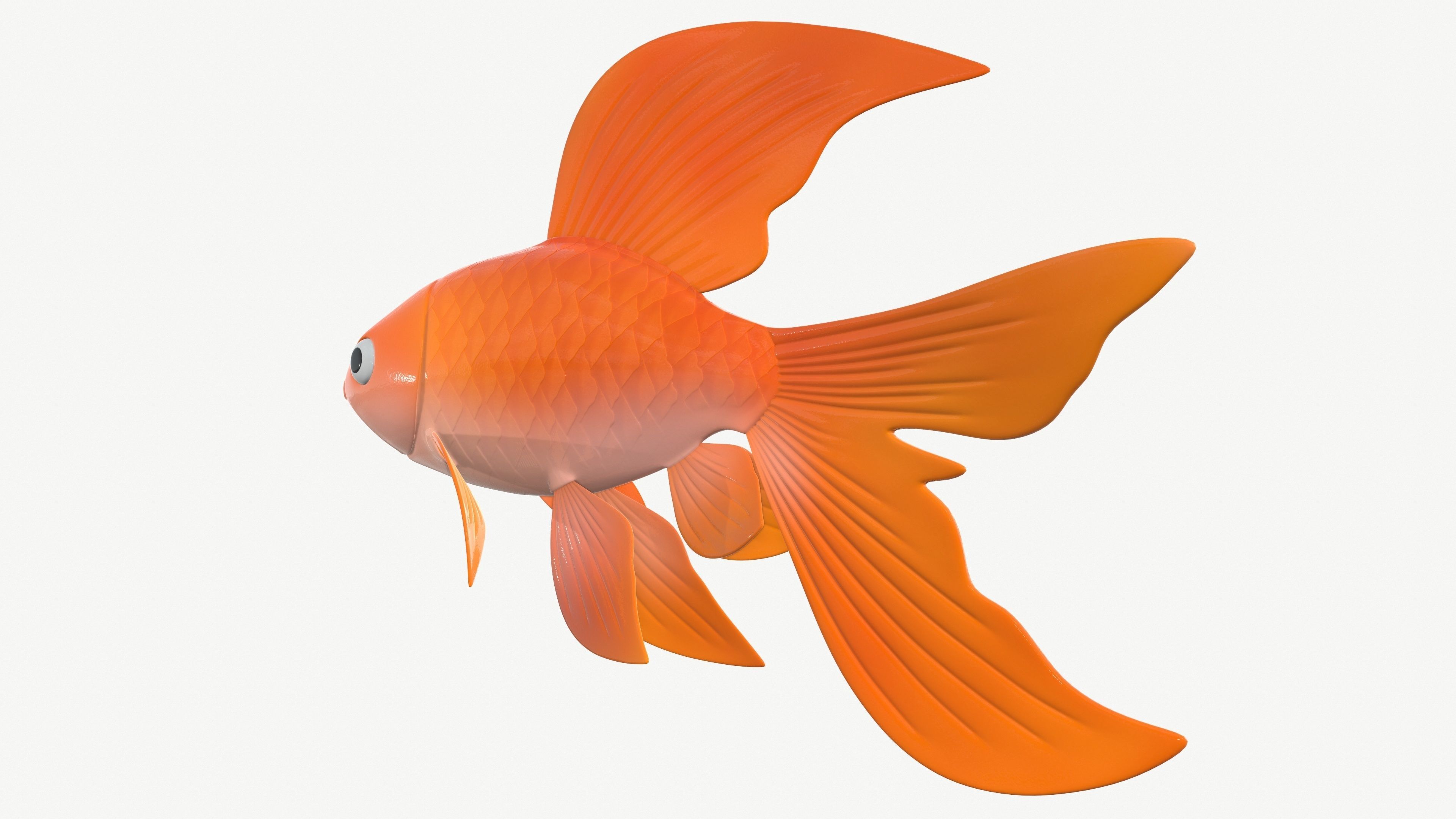 Goldfish cartoon 3D model_5