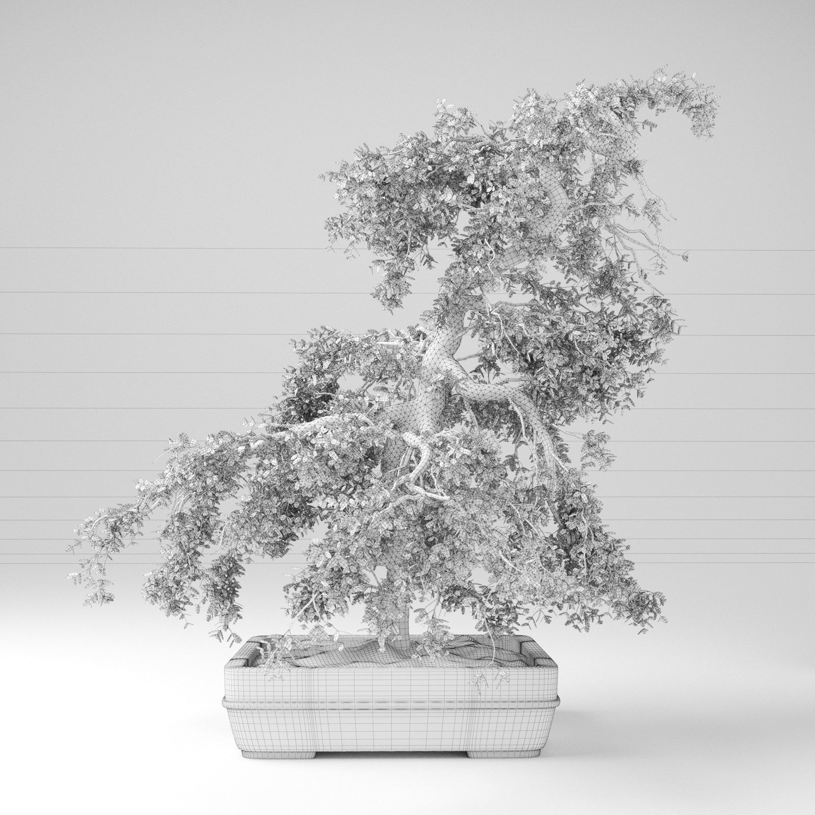 Bonsai Tree 3D model_3
