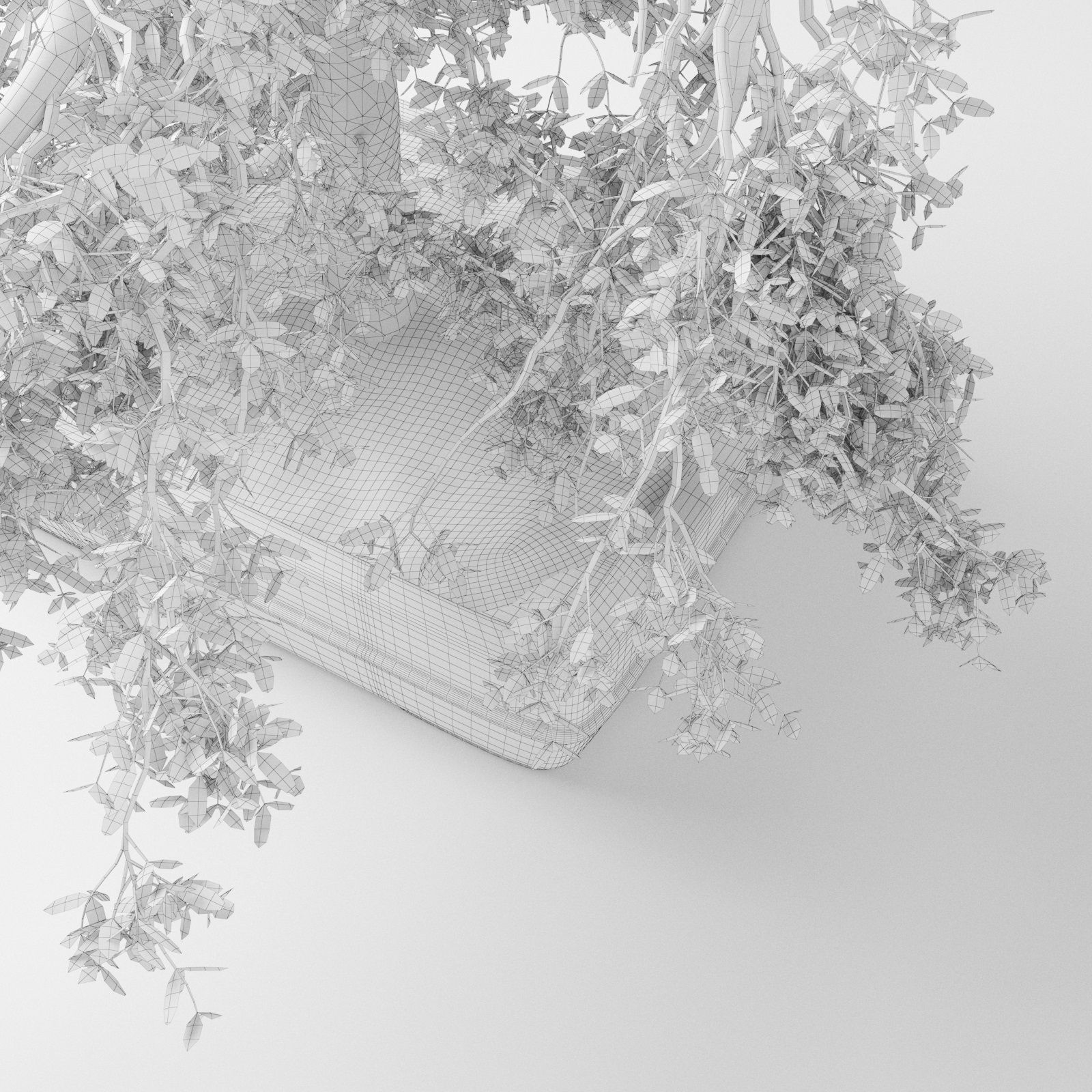 Bonsai Tree 3D model_4
