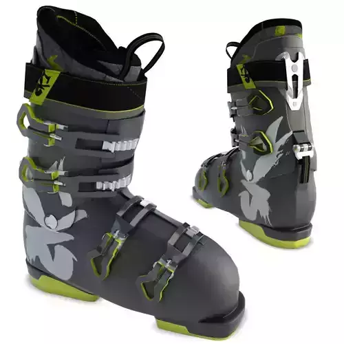 Ski Shoes