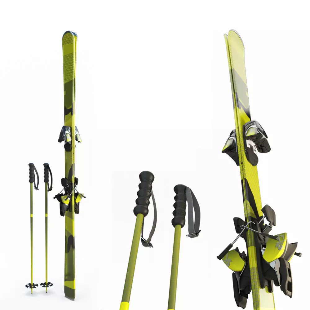 Skis and Sticks 3D model