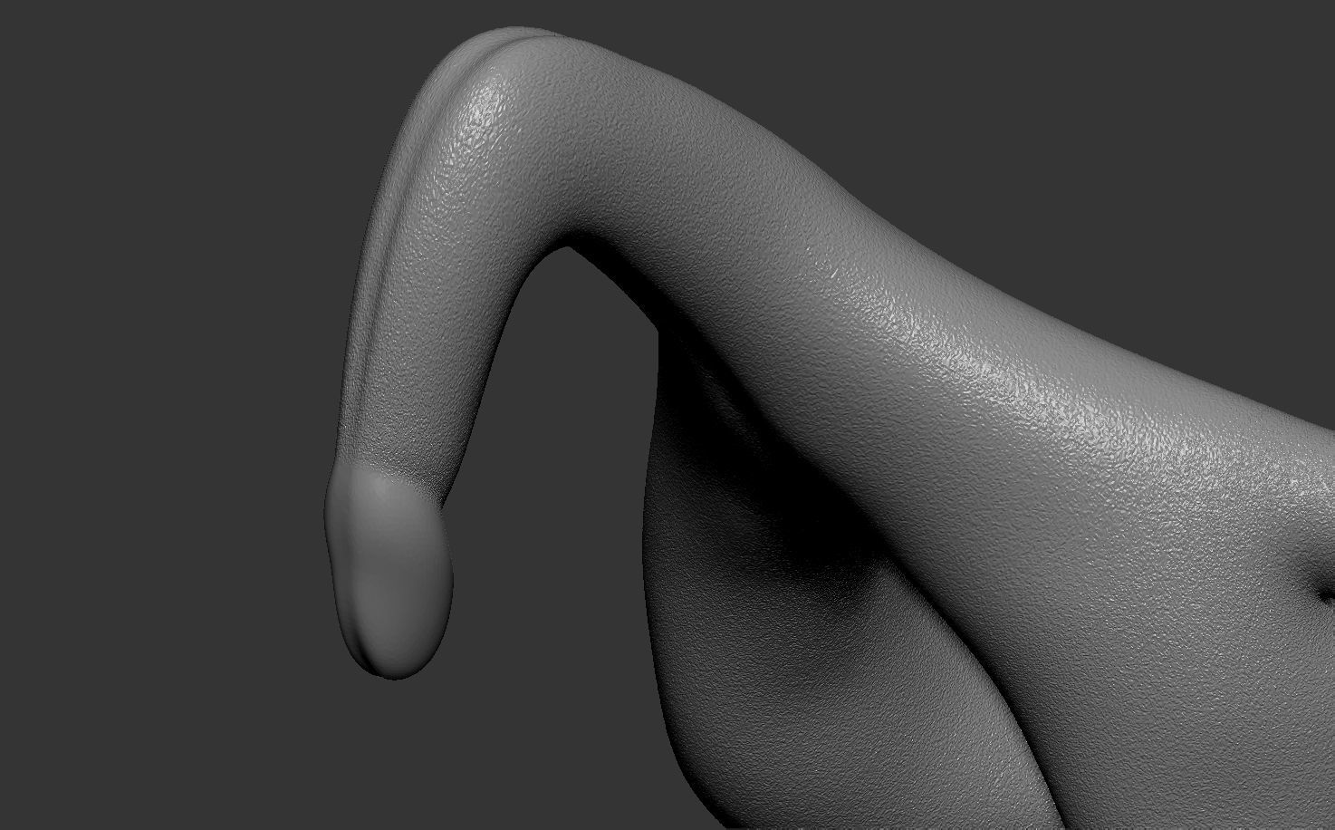 Anatomical Clitoris Free 3D print model_2