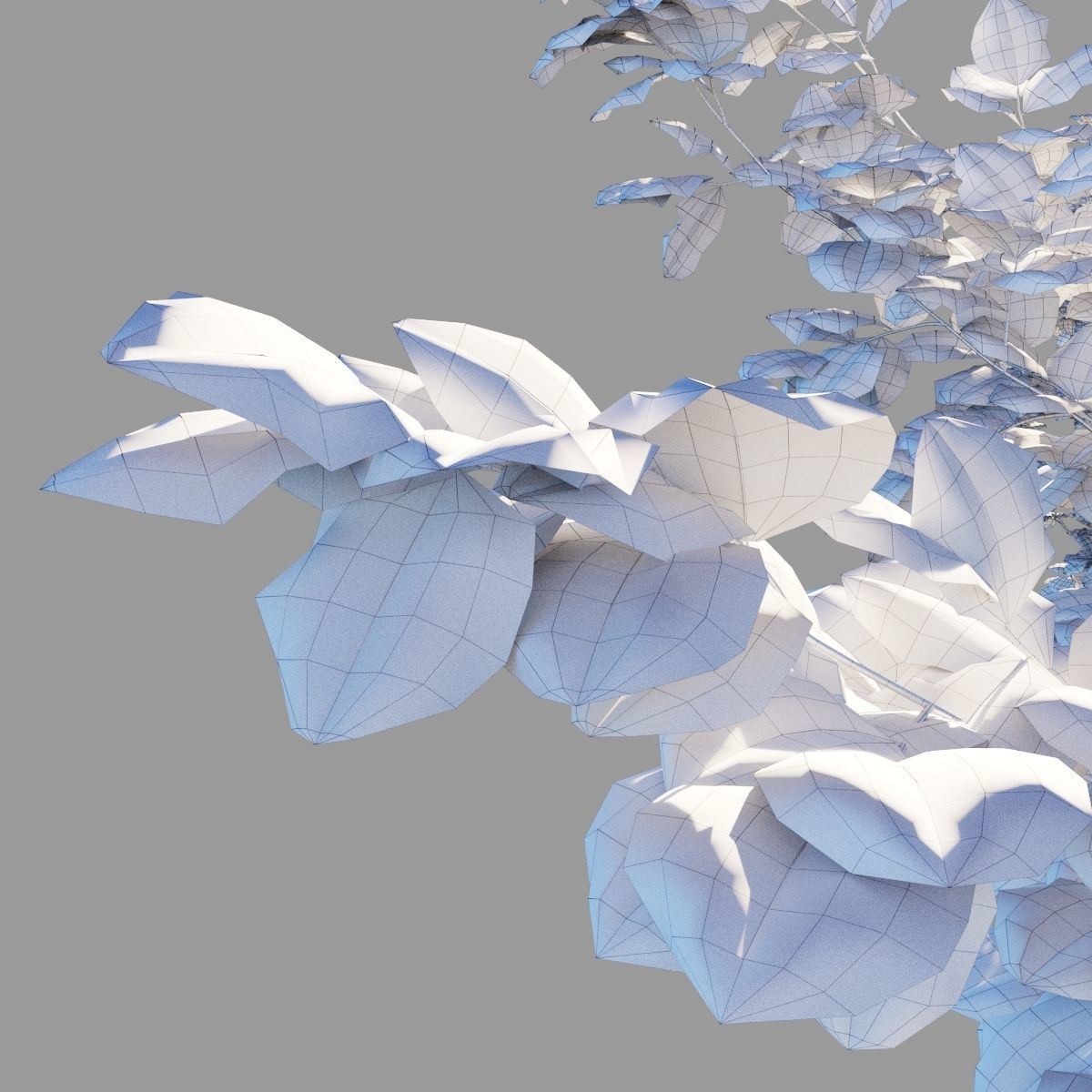 Tilia platyphyllos collection 3D model_13