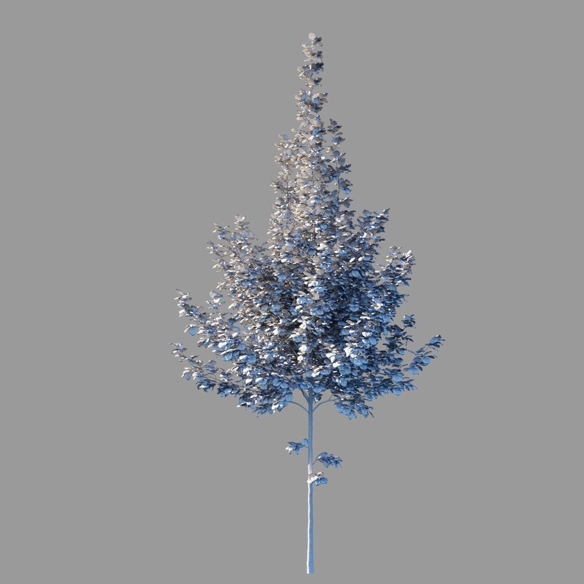 Tilia platyphyllos collection 3D model_10