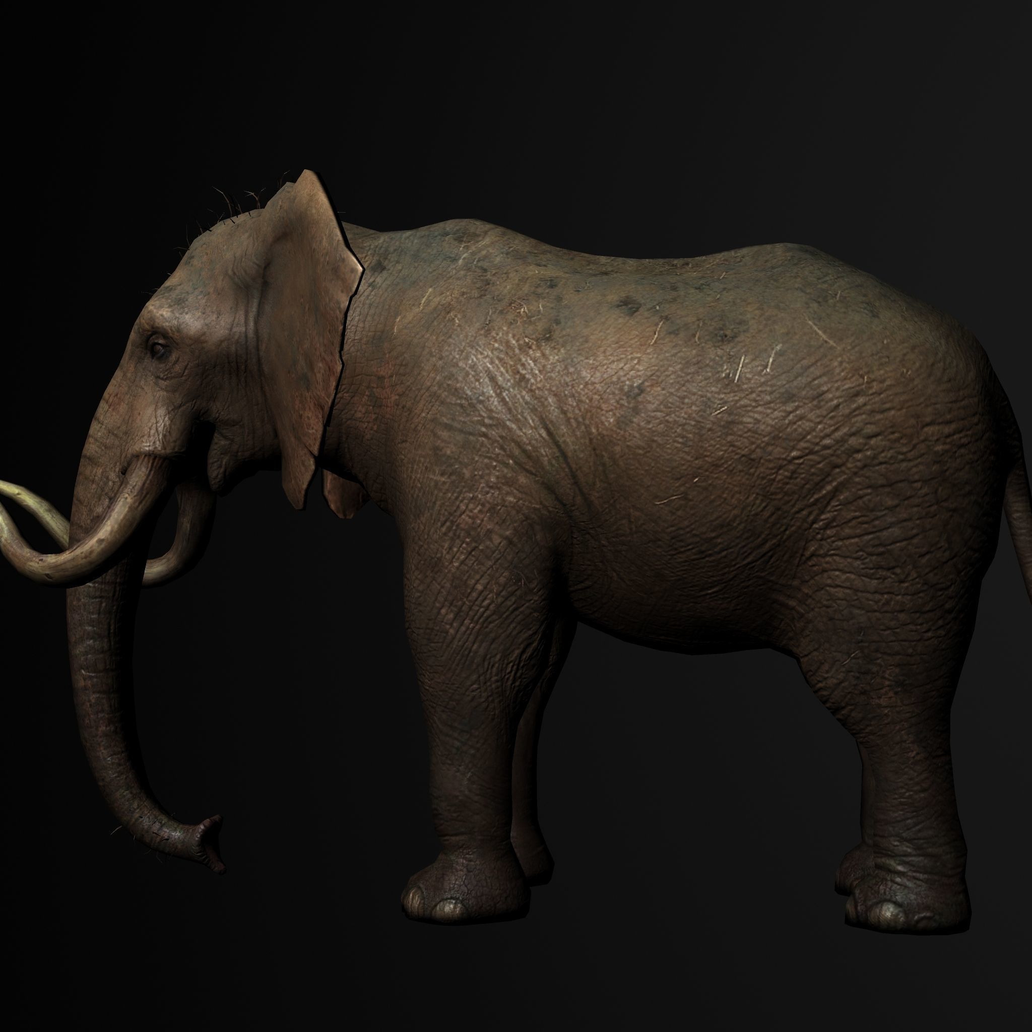 Elelphant 3D model rig Low-poly 3D model_3