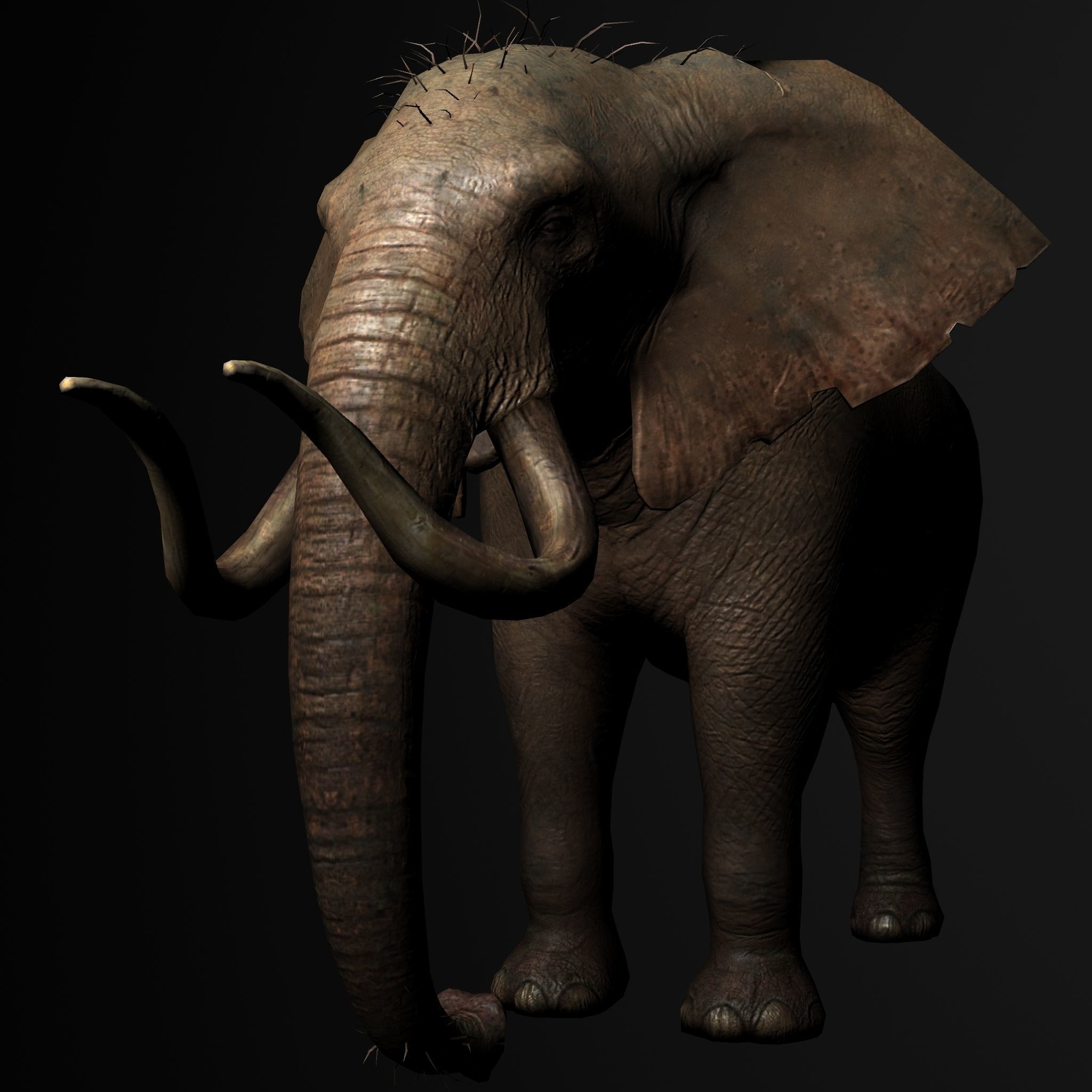 Elelphant 3D model rig Low-poly 3D model_1