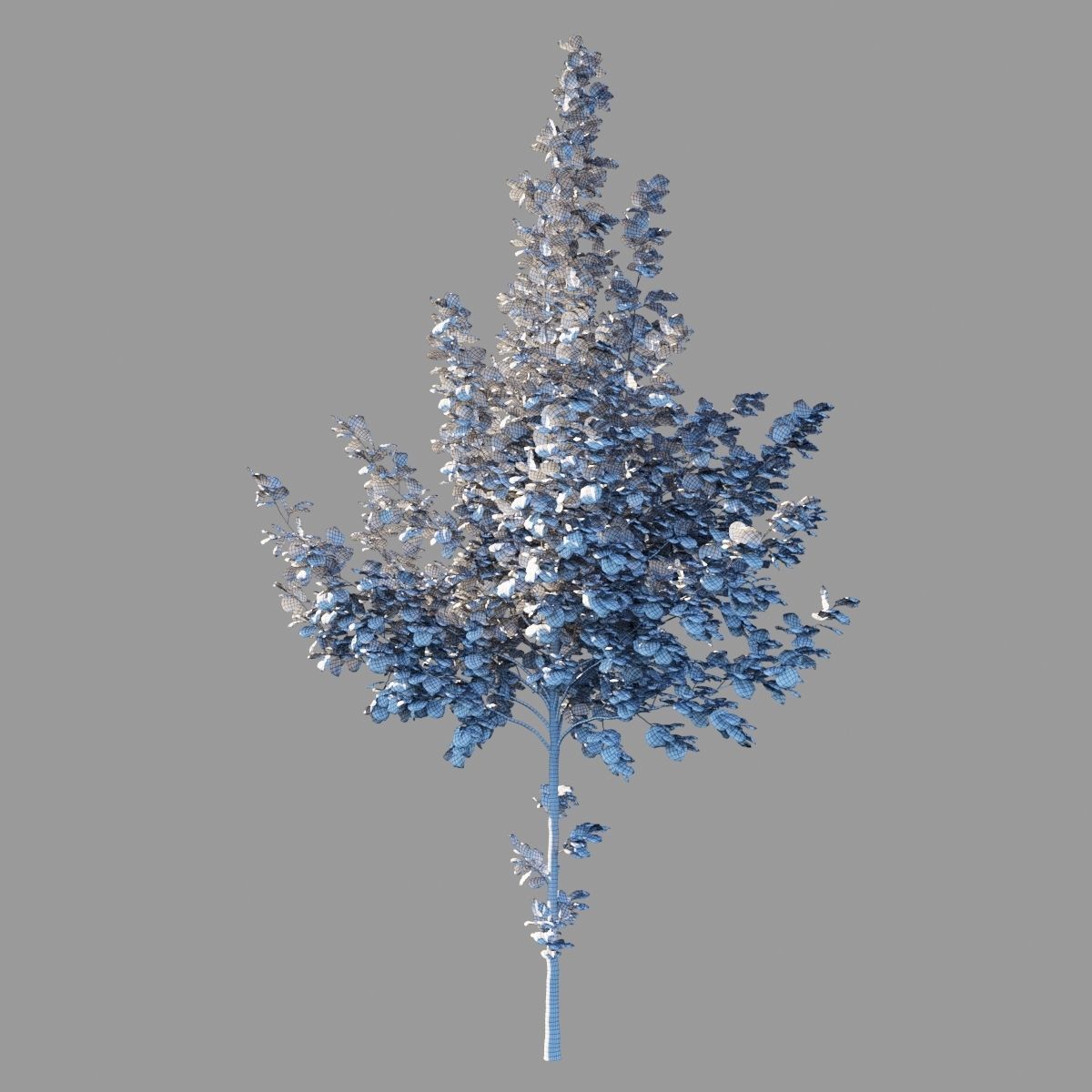 Tilia platyphyllos wind animated collection 3D model_8