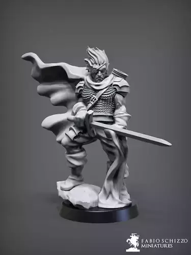 Drow Hero 3D print model