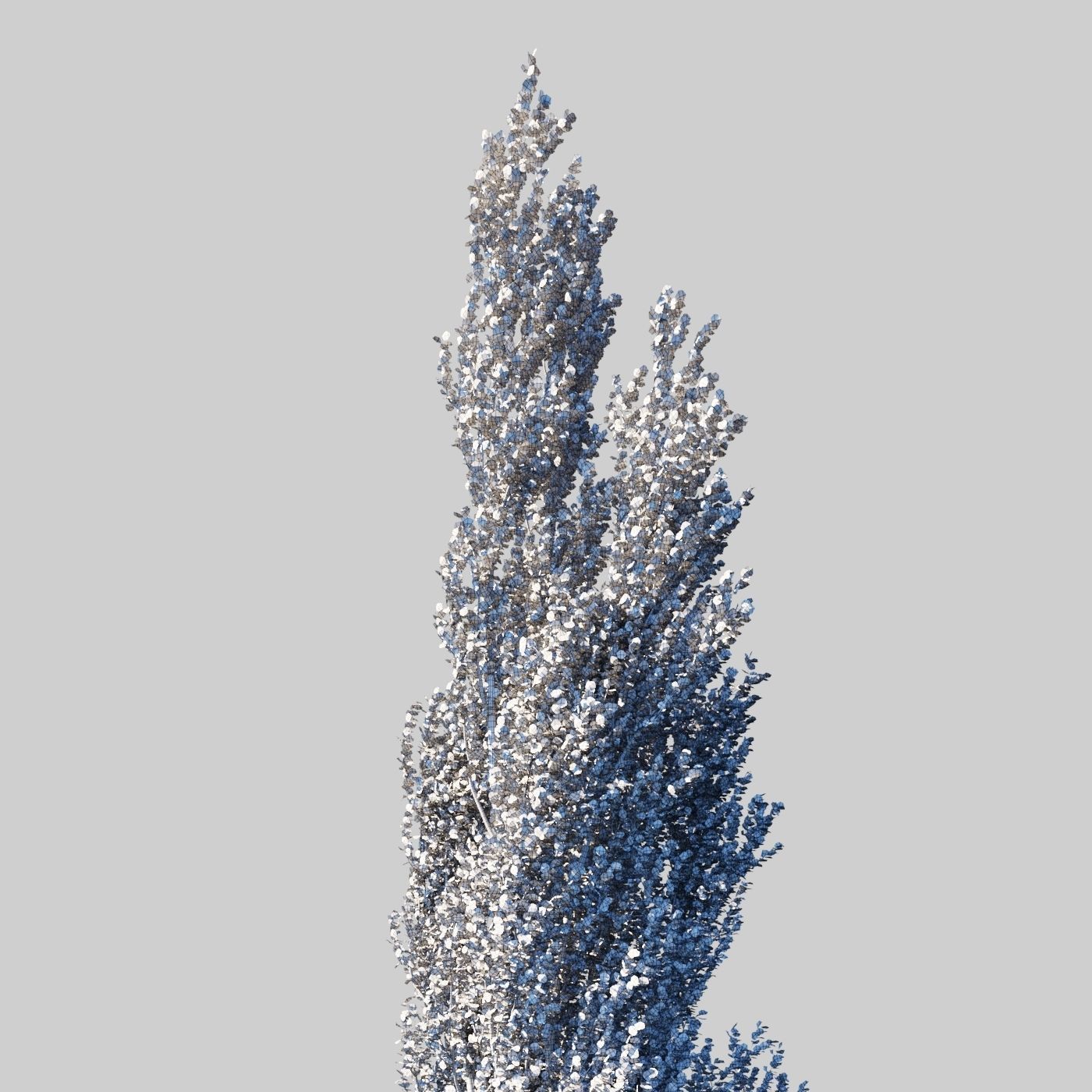 Poplar pyramidal wind animated collection 3D model_9