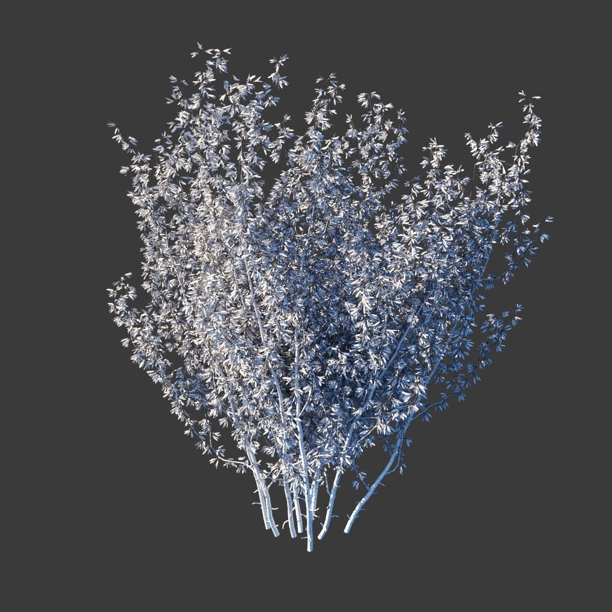 Forsythia intermedia collection 3D model_7