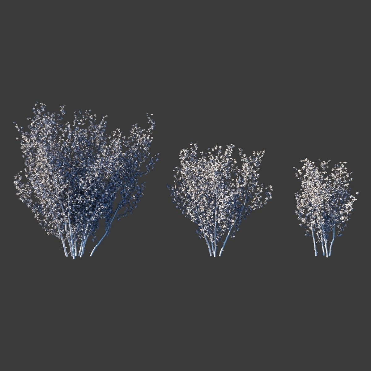 Forsythia intermedia collection 3D model_6