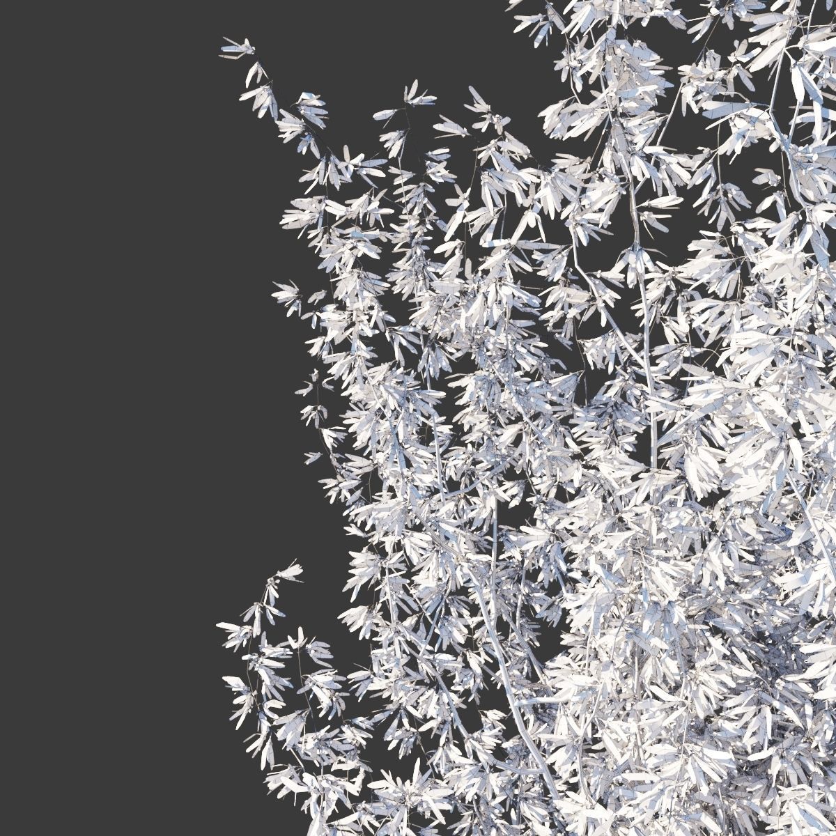 Forsythia intermedia collection 3D model_1