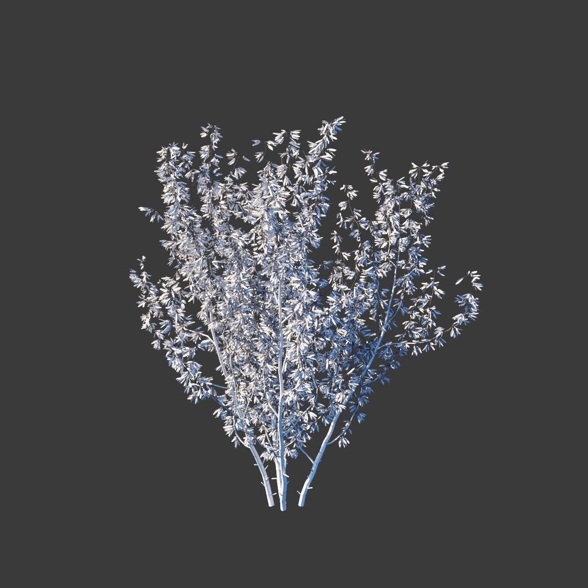 Forsythia intermedia collection 3D model_8