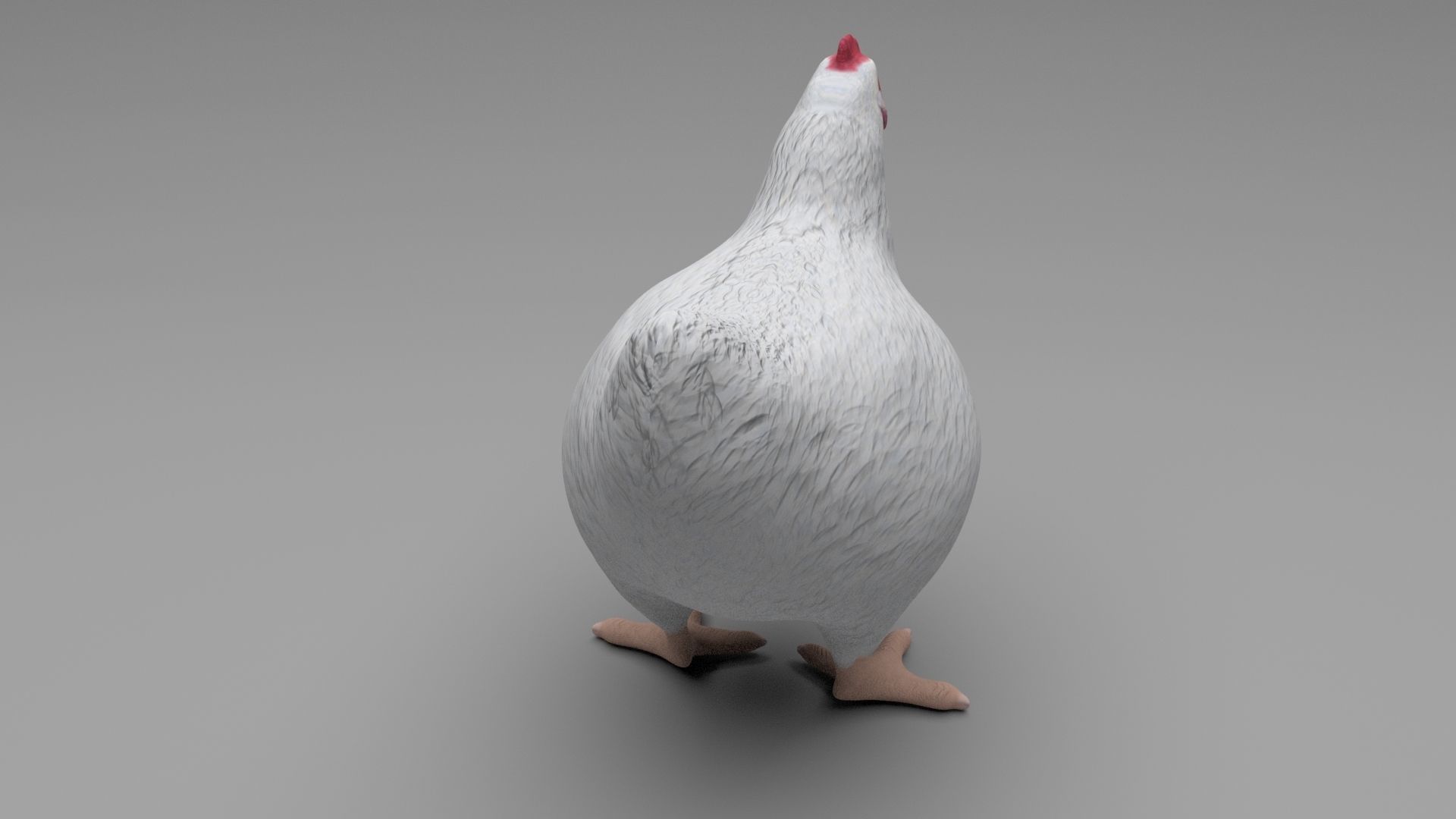 Chicken Low-poly 3D model_6