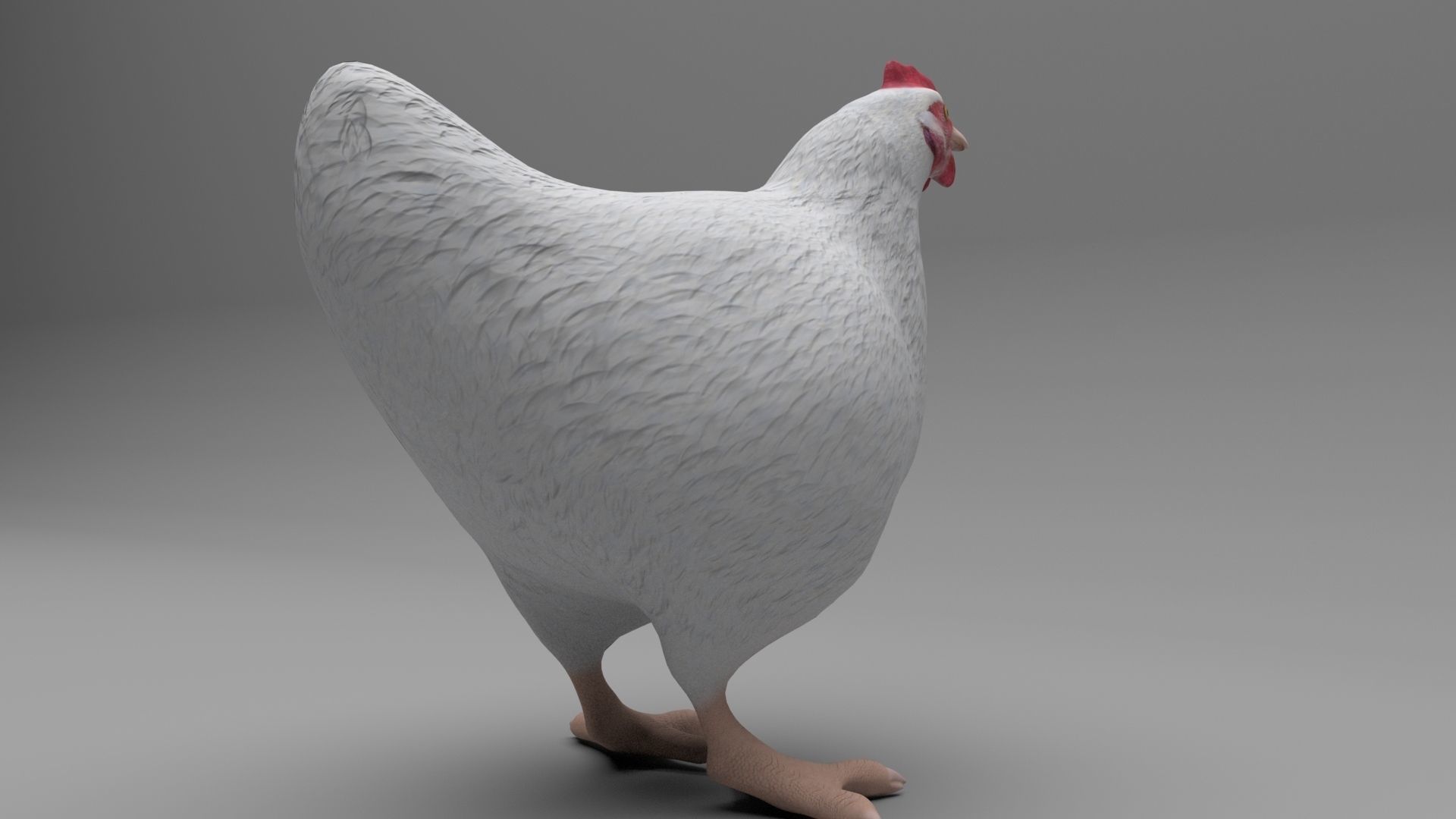 Chicken Low-poly 3D model_9