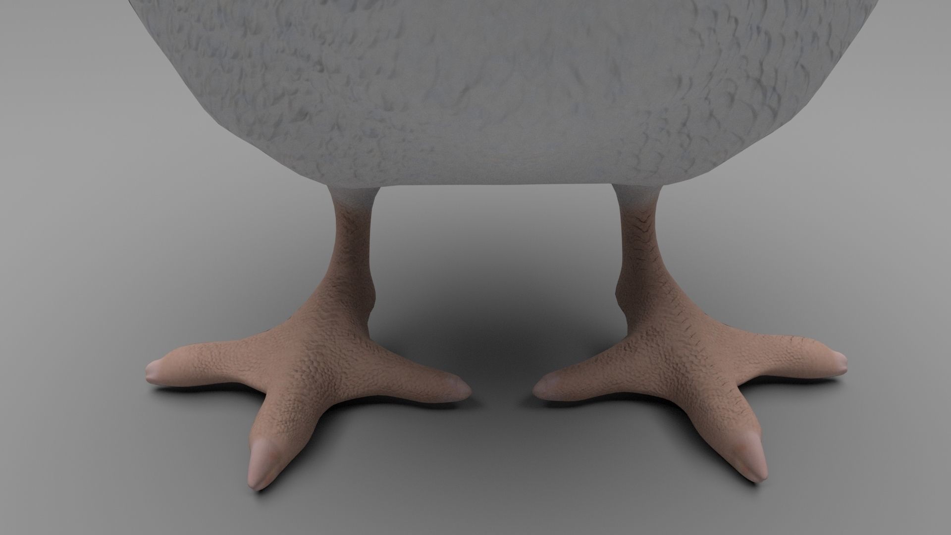 Chicken Low-poly 3D model_8