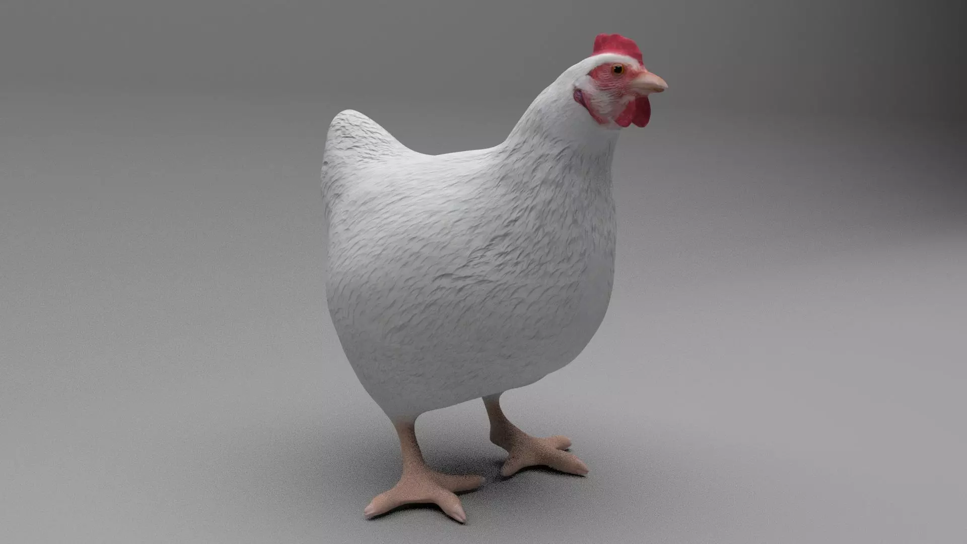 Chicken Low-poly 3D model_0