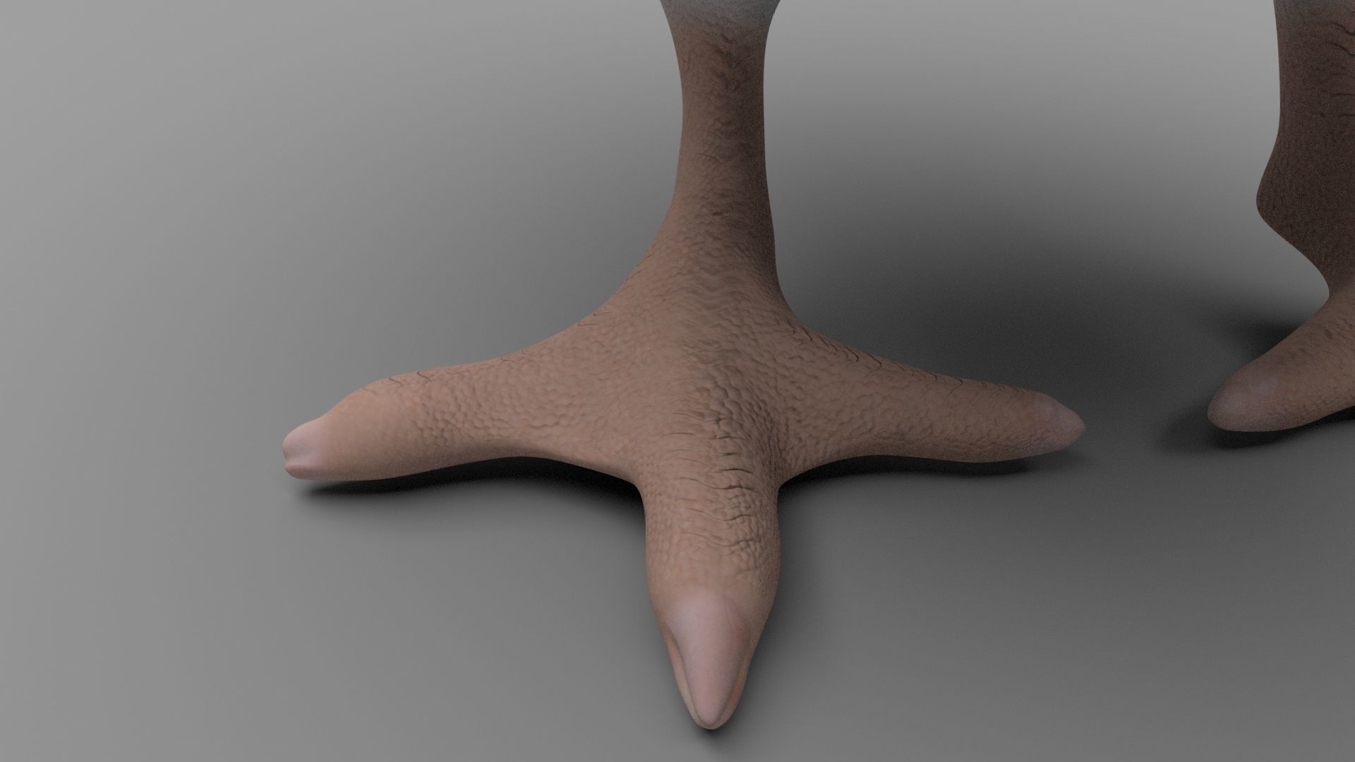 Chicken Low-poly 3D model_3