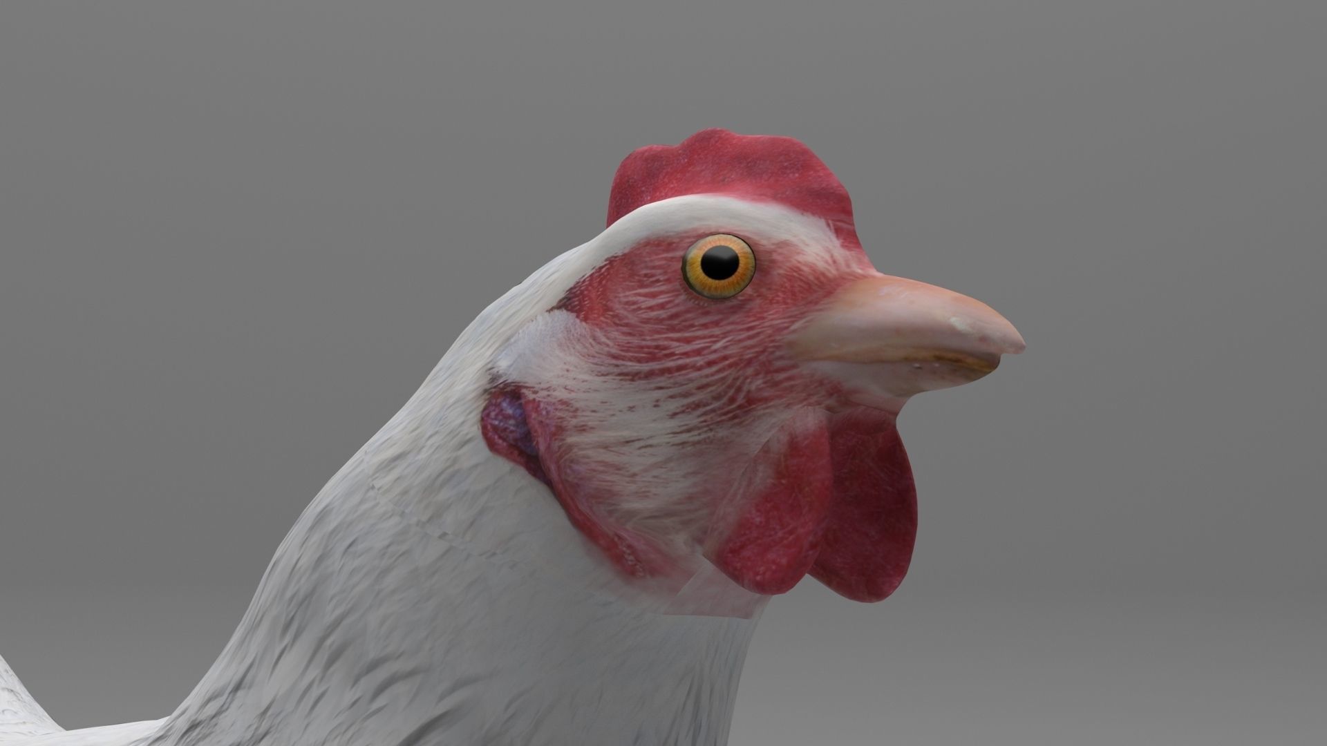 Chicken Low-poly 3D model_1