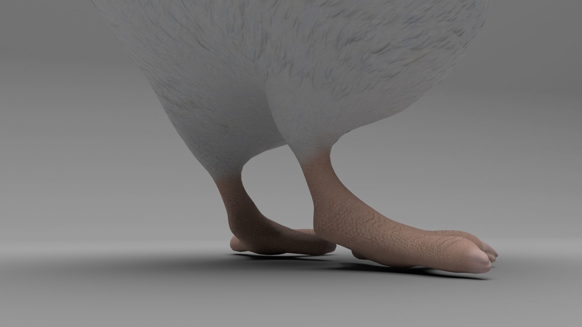 Chicken Low-poly 3D model_2