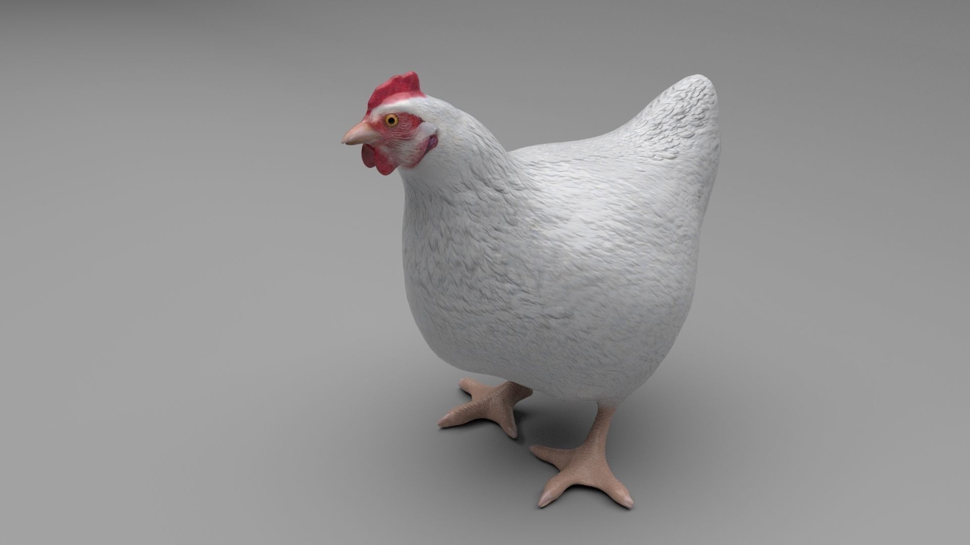 Chicken Low-poly 3D model_7